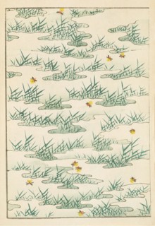 Illustration from "Shin bijutsukai", 1901-1902. Creators: Sekka, Kamisaka (1866-1942), Korin, Furuya (1875-1910)