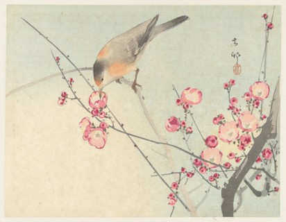 Songbird on blossom branch, Between 1910 and 1920. Private Collection.