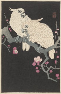 Two cockatoos on branch with plum blossom, 1925-1936. Private Collection.