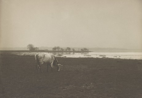 Potomac River from below Alexandria, Virginia, c1895.