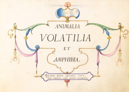 Animalia Volatilia et Amphibia (Aier): Title Page, c. 1575/1580.
