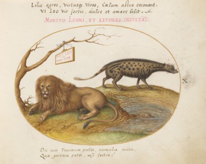 Animalia Qvadrvpedia et Reptilia (Terra): Plate X, c. 1575/1580.