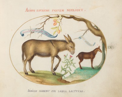 Animalia Qvadrvpedia et Reptilia (Terra): Plate IX, c. 1575/1580.