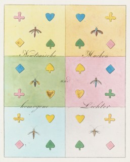 Theory of Colours (Zur Farbenlehre), 1810. Private Collection.