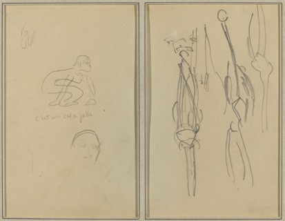 Crouching Monkey and Man's Head; Bones and Muscles [verso], 1884-1888.