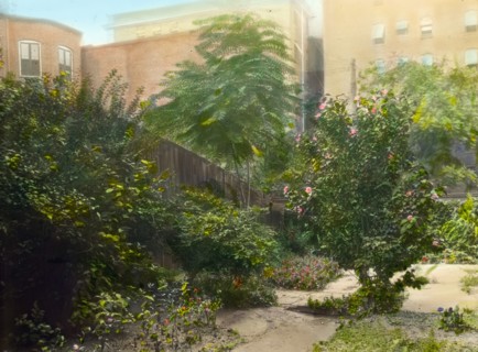Unidentified city garden, probably in New York, New York, c1922.