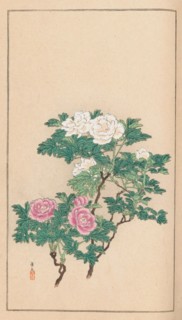 Shubi gakan (Drawing Methods for Aesthetic Pictures), 1889. Private Collection.