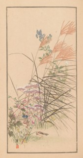 Shubi gakan (Drawing Methods for Aesthetic Pictures), 1889. Private Collection.