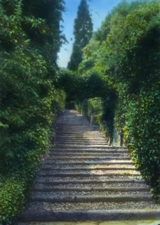 Botanical Garden, Isola Madre, Lake Maggiore, Piedmont, Italy, 1925. Bought by Count Lancilloto Borromeo in 1501.