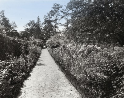 Indian Hill Farm, Moseley Family, West Newbury, Massachusetts, c1920.