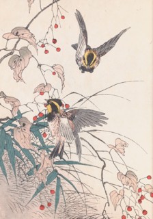 The Four Seasons Bird and Flower Albums (Keinen Kacho Gafu), 1891-1892. Private Collection.