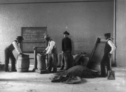 Four young men mixing fertilizers, Hampton Institute, Hampton, Va., 1899 or 1900.