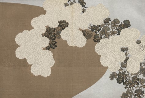 Kiku (Chrysanthemum). From the series "A World of Things (Momoyogusa)", 1909-1910. Private Collection.
