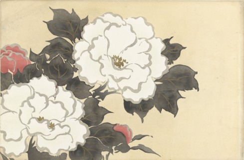 Peonies (Fukamigusa). From the series "A World of Things (Momoyogusa)", 1909-1910. Private Collection.