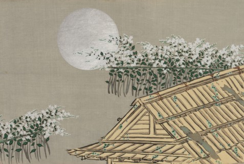 Autumn Flowers (Aki no hana). From the series "A World of Things (Momoyogusa)", 1909-1910. Private Collection.