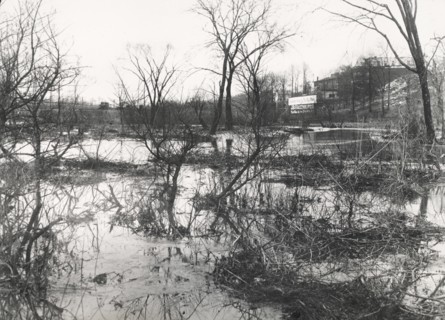 Before at Wakefield, New York City, through driveway was built, c1907. Creator: Frances Benjamin Johnston.