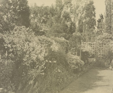 Beacon Hill House, Arthur Curtiss James house, Beacon Hill Road, Newport, Rhode Island., 1917. Creator: Frances Benjamin Johnston.