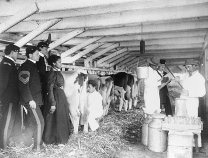 Demonstration of milk testing in stable, at Hampton Institute, Hampton, Virginia, 1899 and 1900.