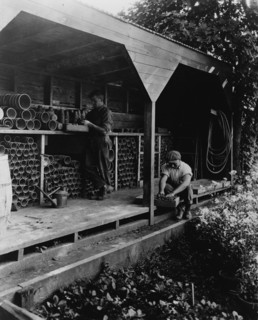 Gardeners potting plants in a shed, posed to illustrate Rudyard Kipling's poem "The Glory of the Garden", 1917.