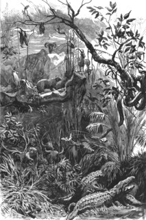 'The Colonial Exhibition: India, The Jungle', 1886.  Creator: Unknown.
