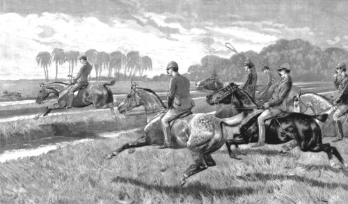 'Pariah Hunting in India- 'The Gridiron Jump'', 1890. Creator: John Charlton.