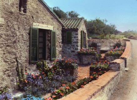 Surprise Valley Farm, Arthur Curtiss James property, Beacon Hill Road, Newport, Rhode Island, 1917 Creator: Frances Benjamin Johnston.