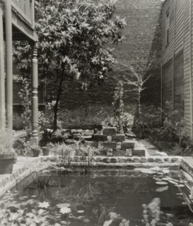 My patio court, March 21 to May, 1946. Creator: Frances Benjamin Johnston.