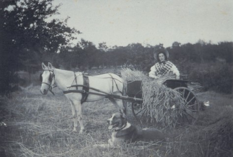 Boon companions, c1900. Creator: Unknown.