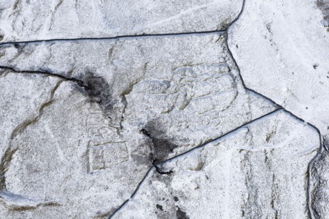 Earthwork remains of hut circles and enclosures, Top Cow Pasture, near Ingleborough, N Yorks, 2018. Creator: Emma Trevarthen.