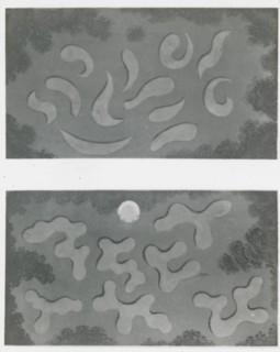 Reproduction of illustrations showing flower garden designs, between 1915 and 1925. Creator: Frances Benjamin Johnston.
