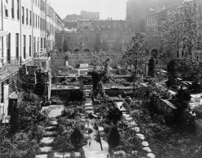 Backyard gardens in New York City, 1920. Creator: Frances Benjamin Johnston.