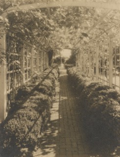 Grape arbor, George Read II house...New Castle, Delaware, 1928. Creator: Frances Benjamin Johnston.
