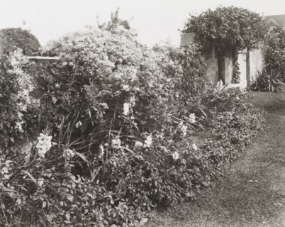 Gray Gardens, Robert Carmer Hill house, Lily Pond Lane, East Hampton, New York, c1916. Creator: Frances Benjamin Johnston.