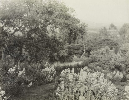 El Cerrito, Edward Larned Ryerson Jr. house, Hot Springs Road, Santa Barbara, California, 1917. Creator: Frances Benjamin Johnston.