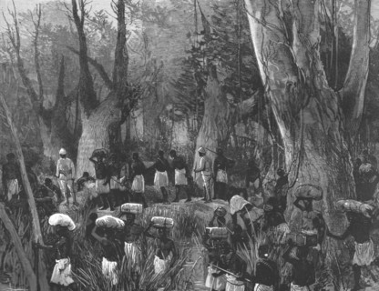 'The Graphic' Stanley Number; The Vanguard of the Expedition Marching throughthe Primaeval Forest',  Creator: Unknown.
