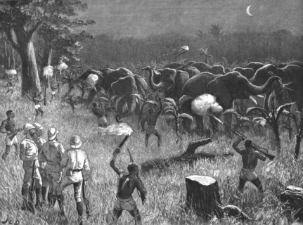 'The Graphic' Stanley Number; Zanzibaris Scaring Elephants which were destroying a Banana Grove near Creator: Unknown.