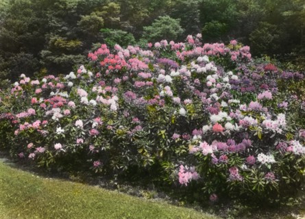 George Fisher Baker house, Tuxedo Park, New York, c1913. Creator: Frances Benjamin Johnston.
