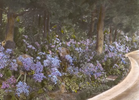 Kimberly Crest, John Alfred Kimberly house, 1325 Prospect Drive, Redlands, California, 1917. Creator: Frances Benjamin Johnston.