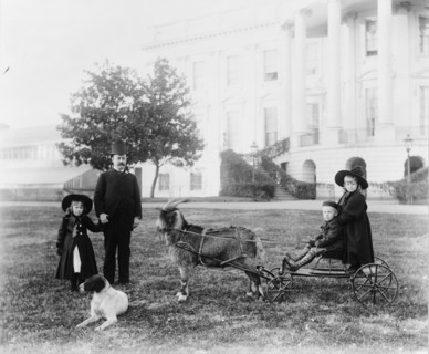 White House--Major Russell Harrison and Harrison children--Baby McKee and sister..., c1889 - 1893. Creator: Frances Benjamin Johnston.