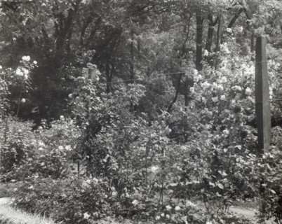 Willowmere, Rear Admiral Aaron Ward house, 435 Bryant Avenue, Roslyn Harbor, New York, 1914. Creator: Frances Benjamin Johnston.