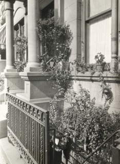 Janitor apartment. 137 East 30th Street, New York, New York, c1922. Creator: Frances Benjamin Johnston.