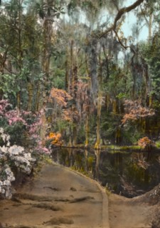 Magnolia Plantation, 3550 Ashley River Road, Charleston, South Carolina, 1928. Creator: Frances Benjamin Johnston.