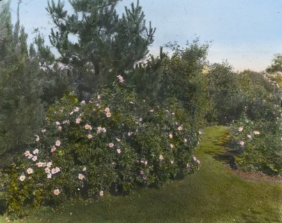 Beacon Hill House, Arthur Curtiss James house, Beacon Hill Road, Newport, Rhode Island, 1917. Creator: Frances Benjamin Johnston.