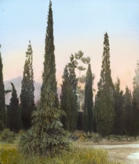 El Fureidis, James Waldron Gillespie house, Parra Grande Lane, Montecito, California, 1917. Creator: Frances Benjamin Johnston.