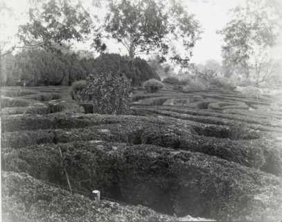 Tuckahoe, Nehemiah Addison Baker house, Route 650, near Mankin, Goochland County, VA, 1936. Creator: Frances Benjamin Johnston.