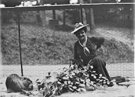 Mrs. Franklin Adams, nee Harriet Chalmers, at Zoo, 1912. Creator: Harris & Ewing.
