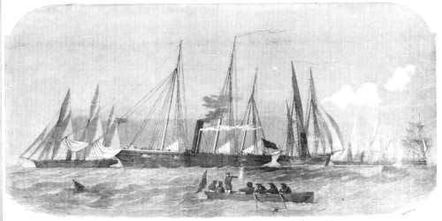 Her Majesty's Despatch Gun-Boats, 1854. Creator: Smyth.
