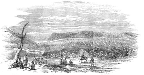 Camp of the English Light Division, at Varna, 1854. Creator: Unknown.