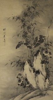 Bamboo.