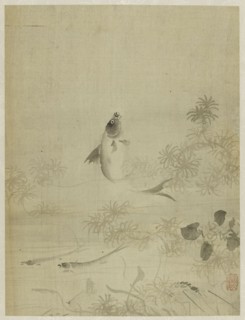 Album, 1661.